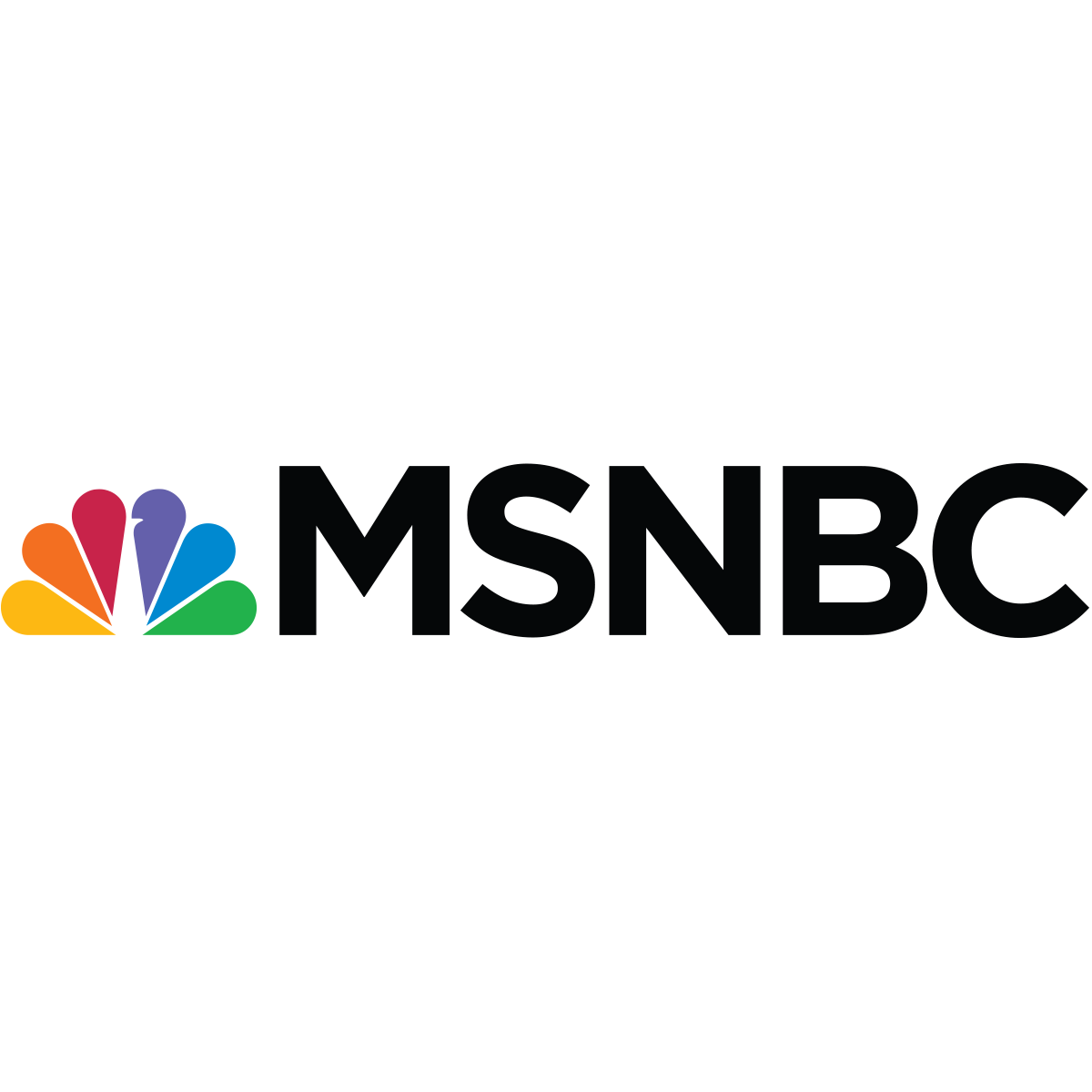 Feminist Camp on MSNBC