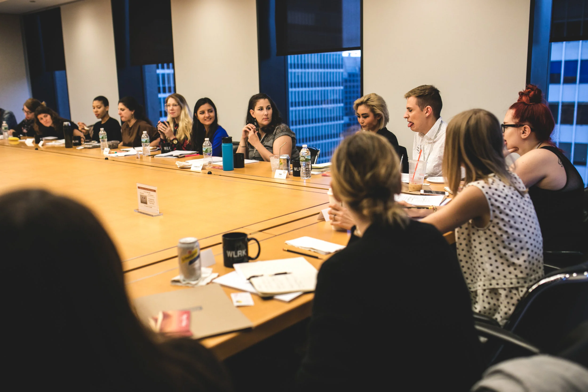 FEMINIST CAMP NYC SUMMER 2017 - 062017 - 09155100.JPG