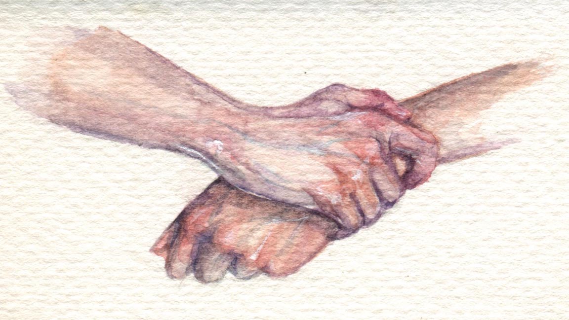 Hands Study