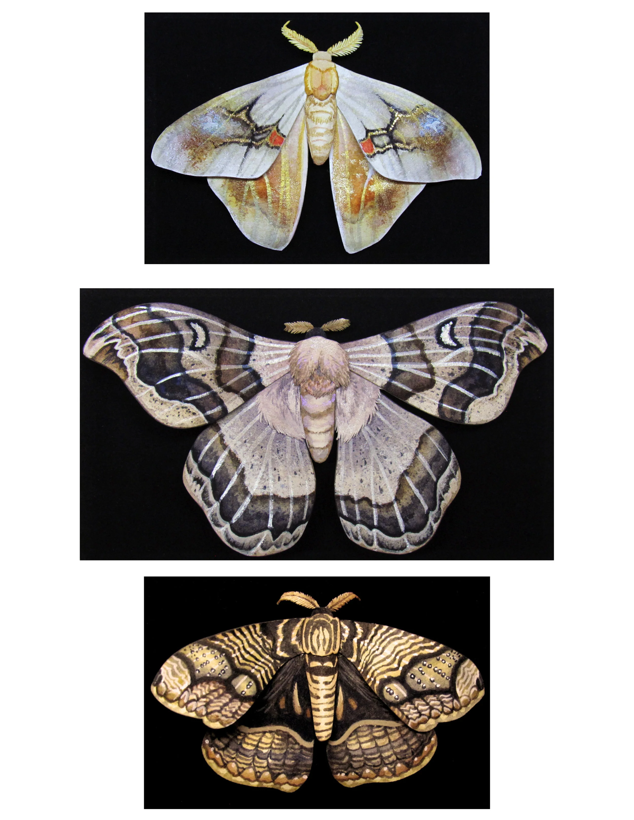 Paper Moths