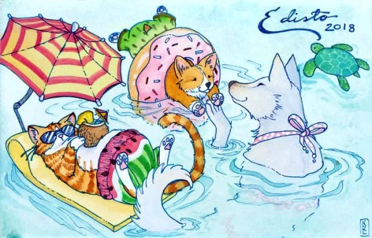 Summer Splashes