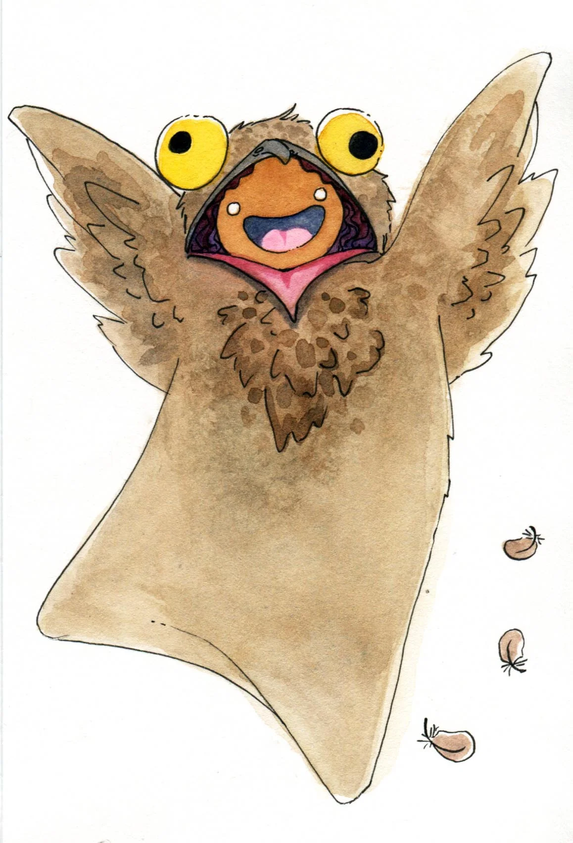 Potoo BooBoo