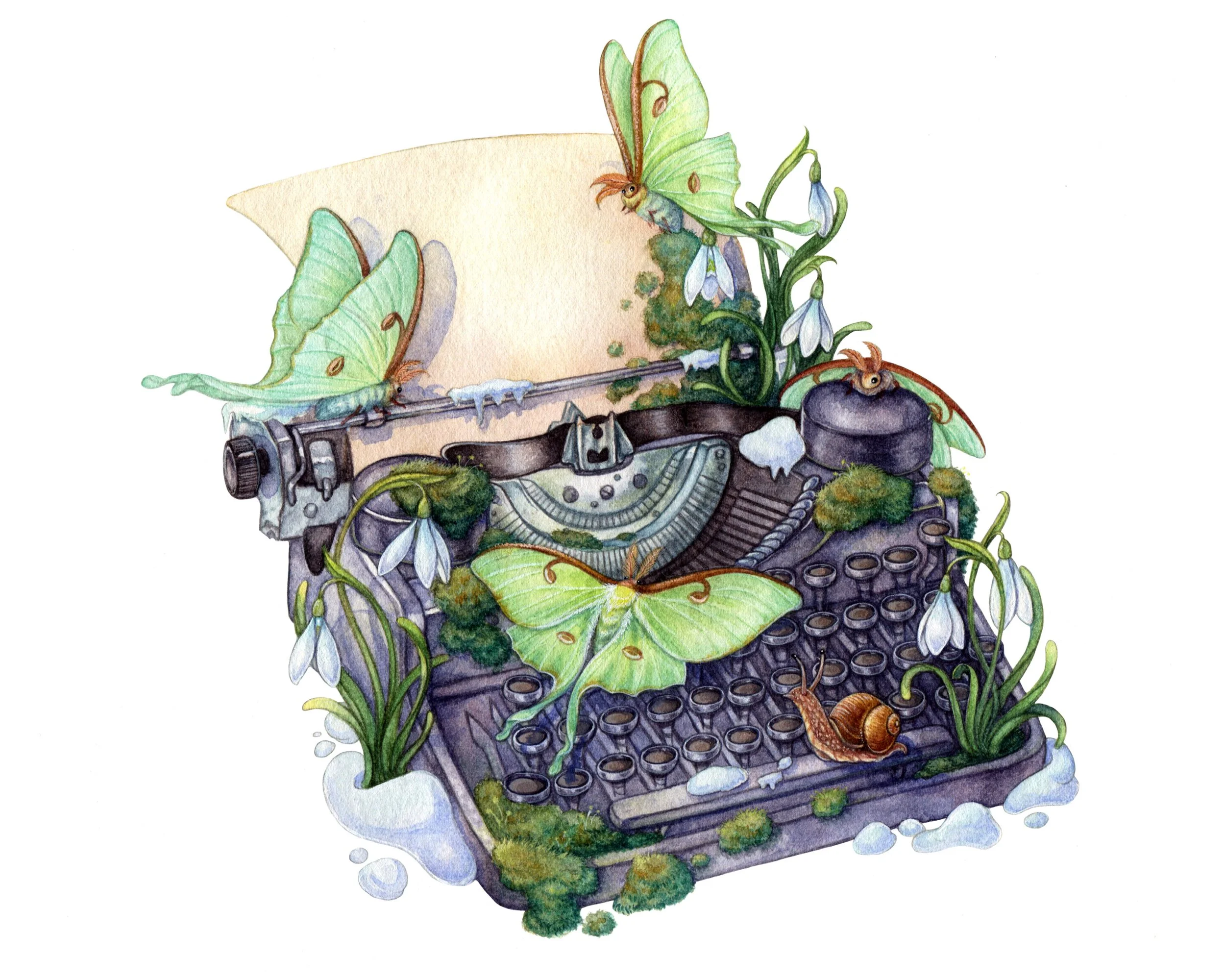 letterfromtheforest.jpg