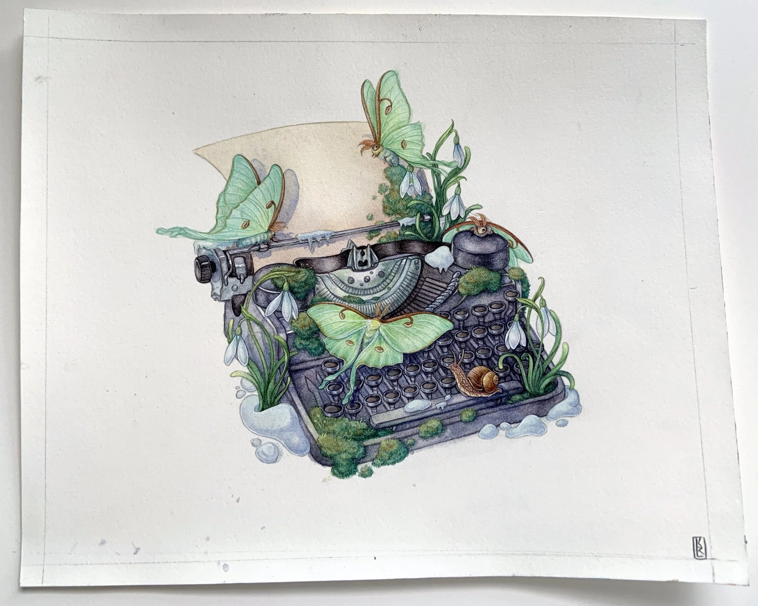 forestletter_orig.jpg