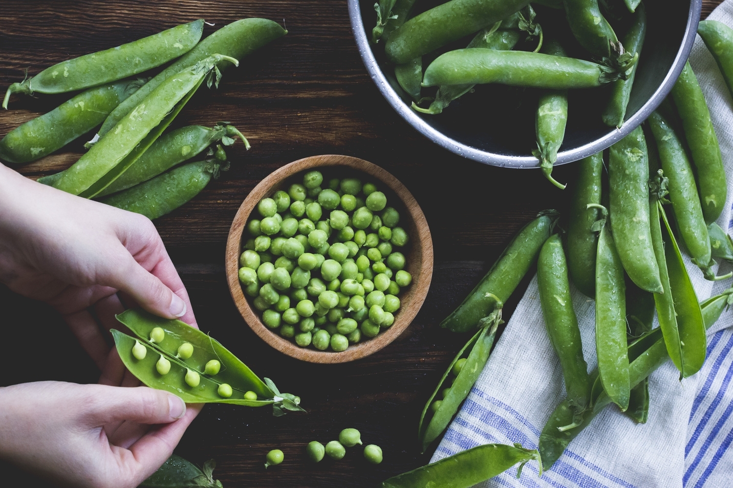 Shelling Peas.jpg