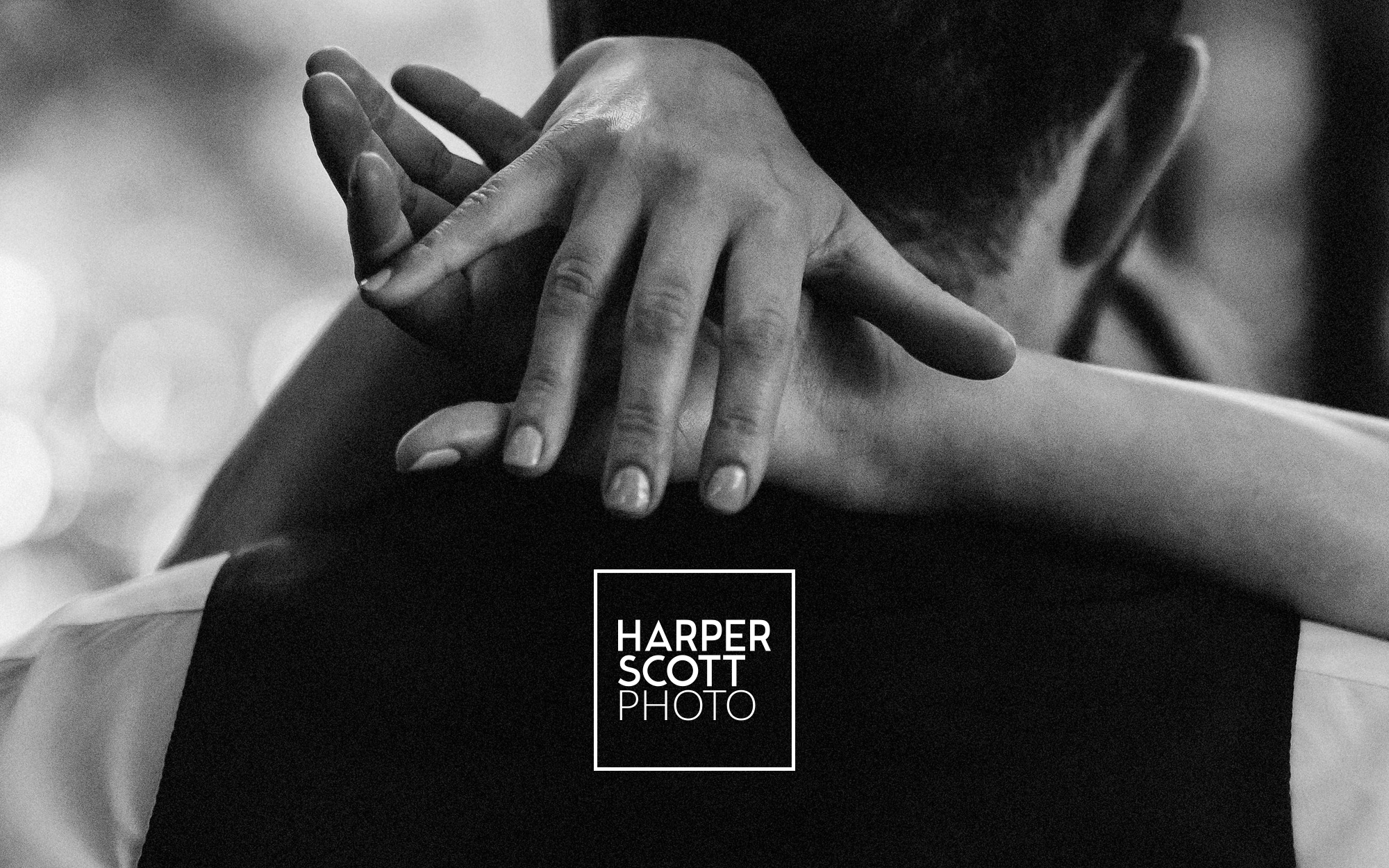 branding-logo-design-glasgow-scotland-wedding-photographer-harper-scott-photo-walnut-wasp.png