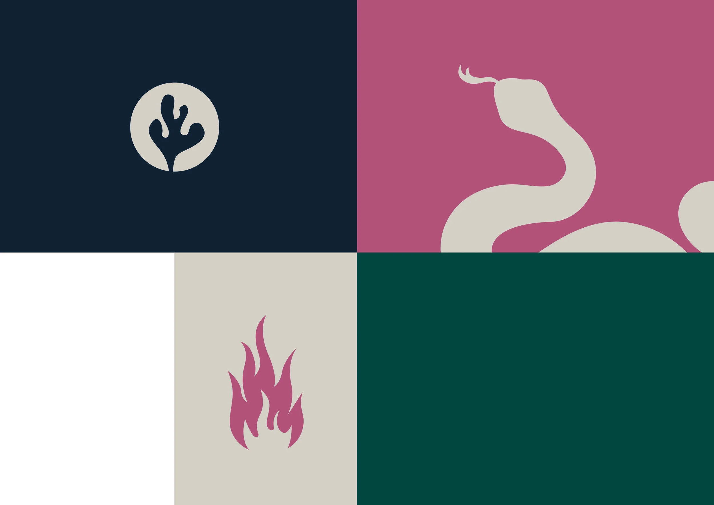 JungleBook Portfolio4.jpg