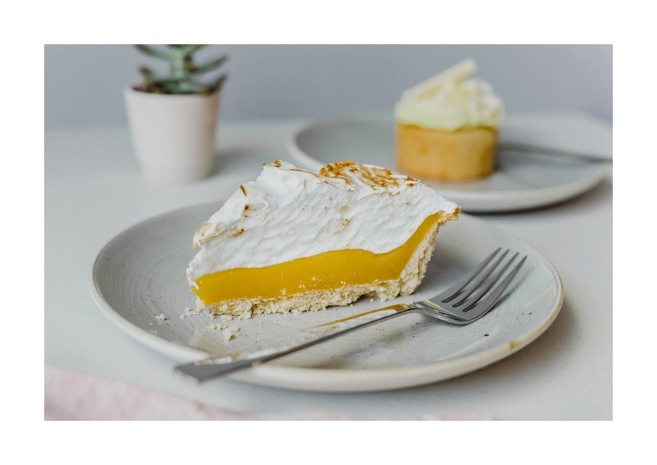 WW Food & Beverage - Dobbies Lemon.jpg