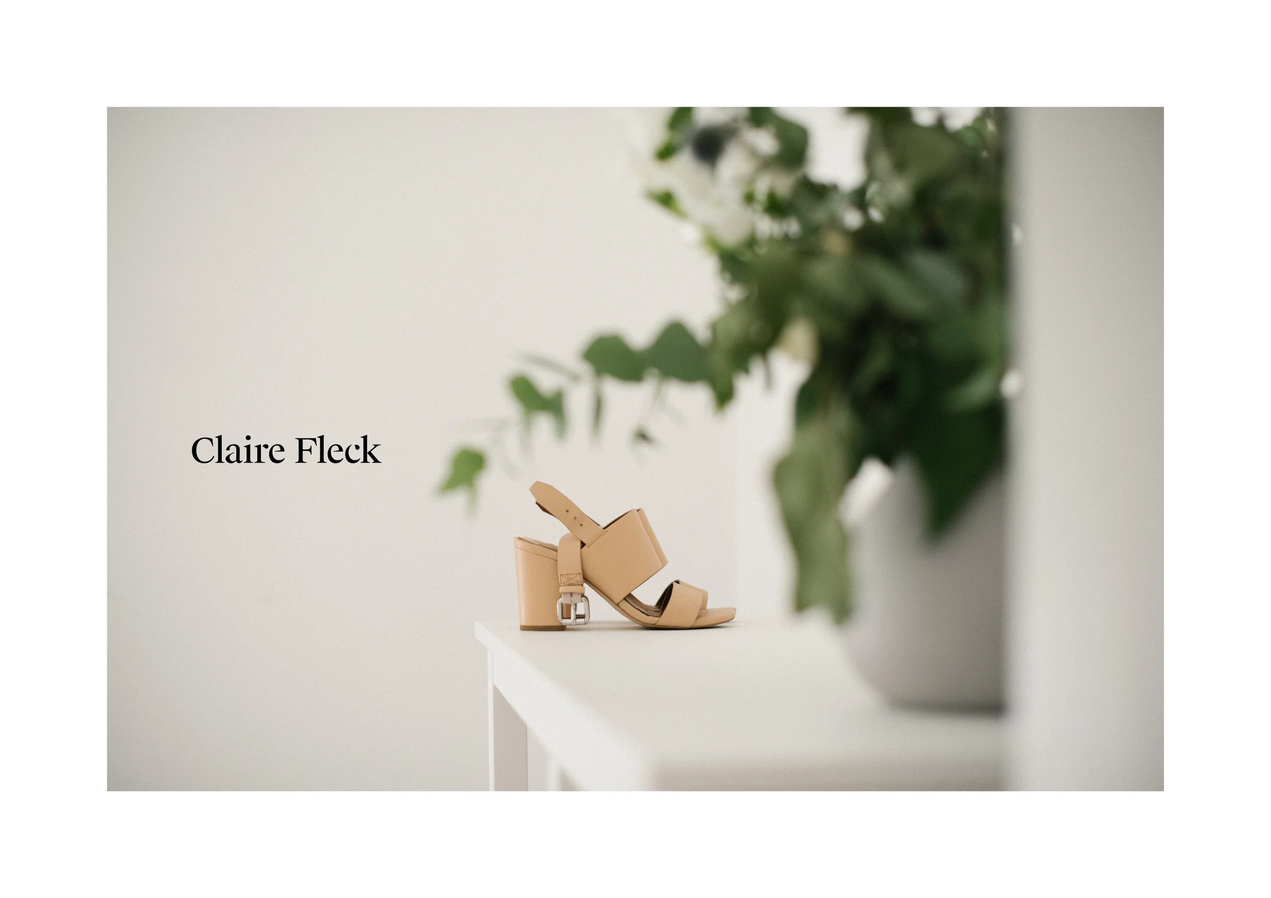 Claire-Fleck-Portfolio3.jpg