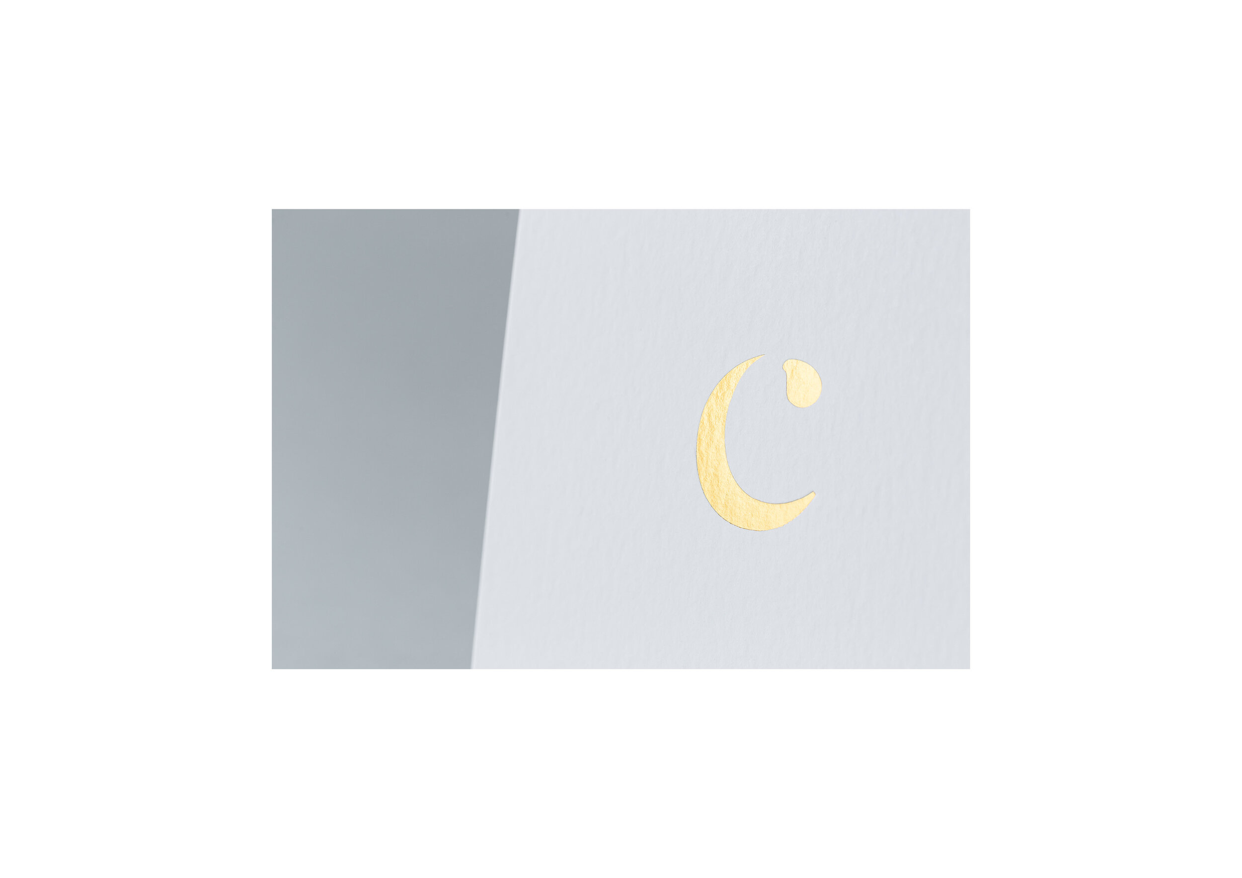 WalnutWasp-Branding-Services-002.jpg
