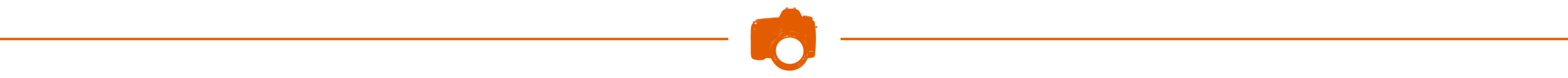 Photo-Icon-Long-4x.png