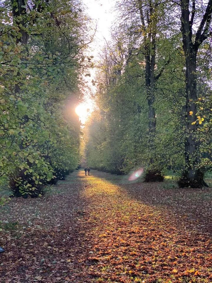 Turning mine waste from risk into opportunity