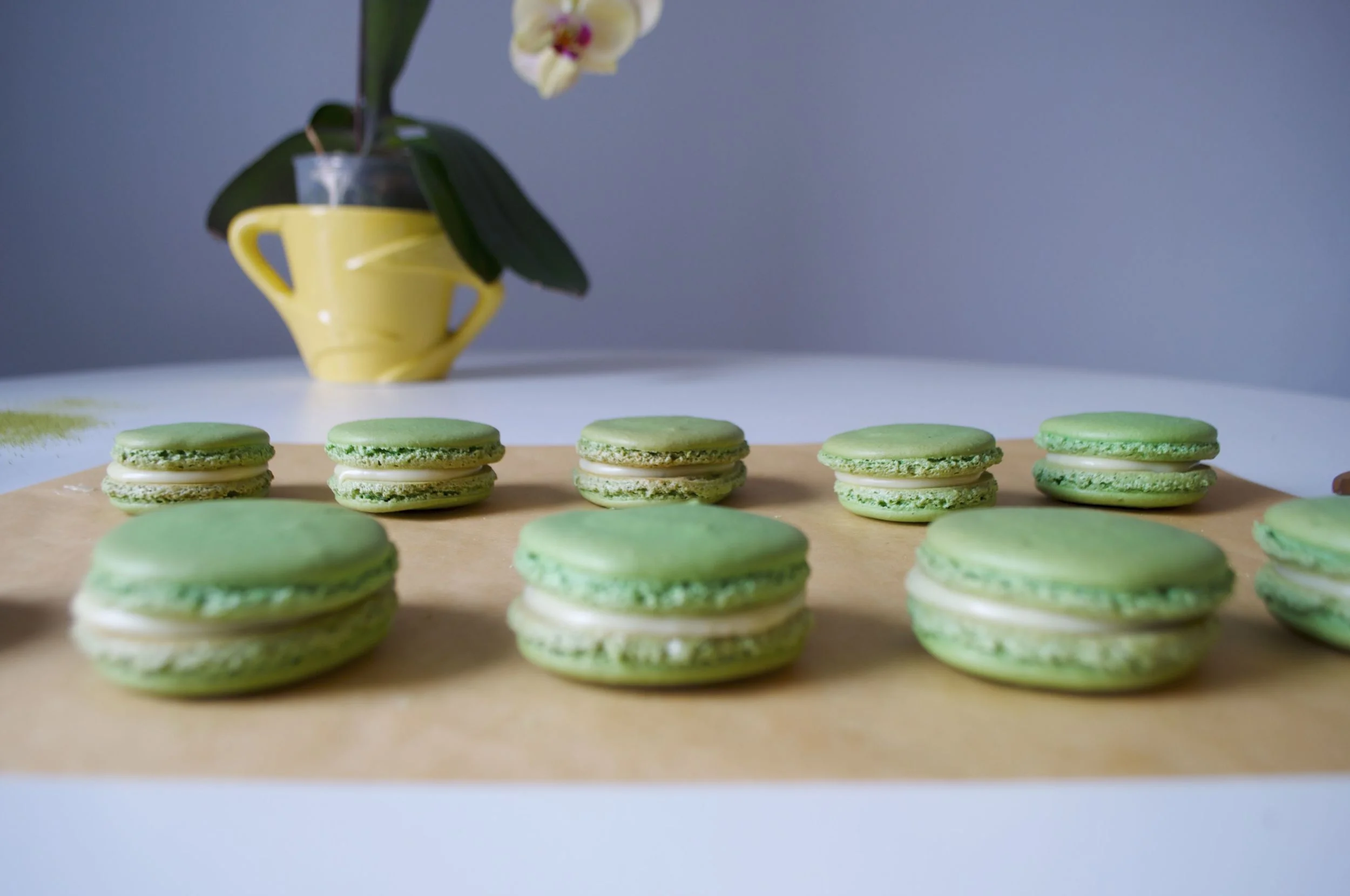 matcha-macarons-fried-parsley