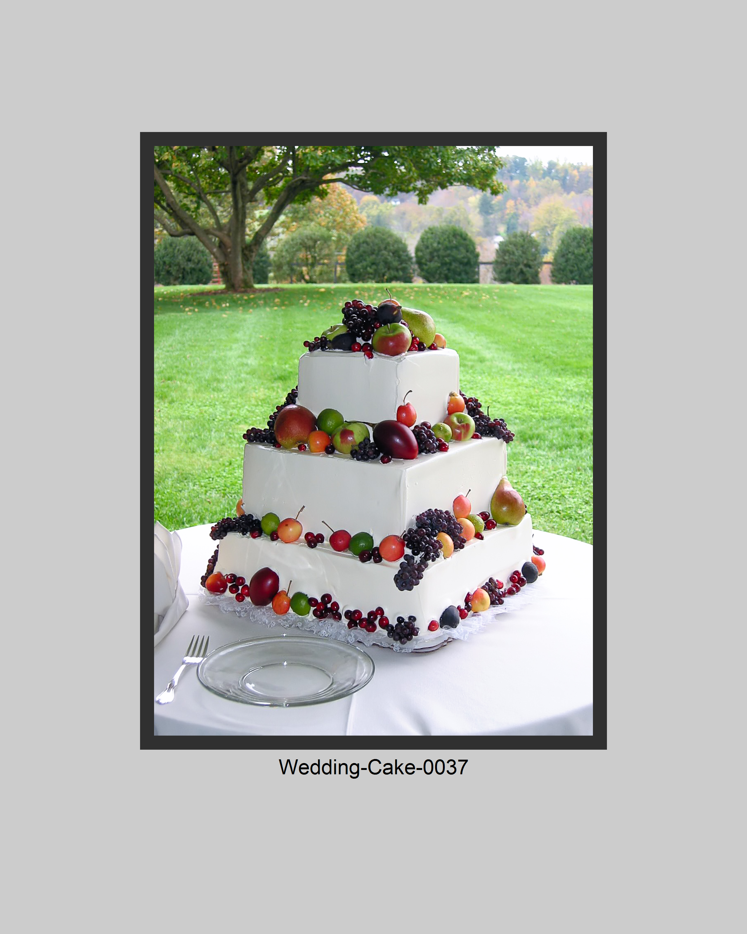 Wedding Cake Prints-037.jpg