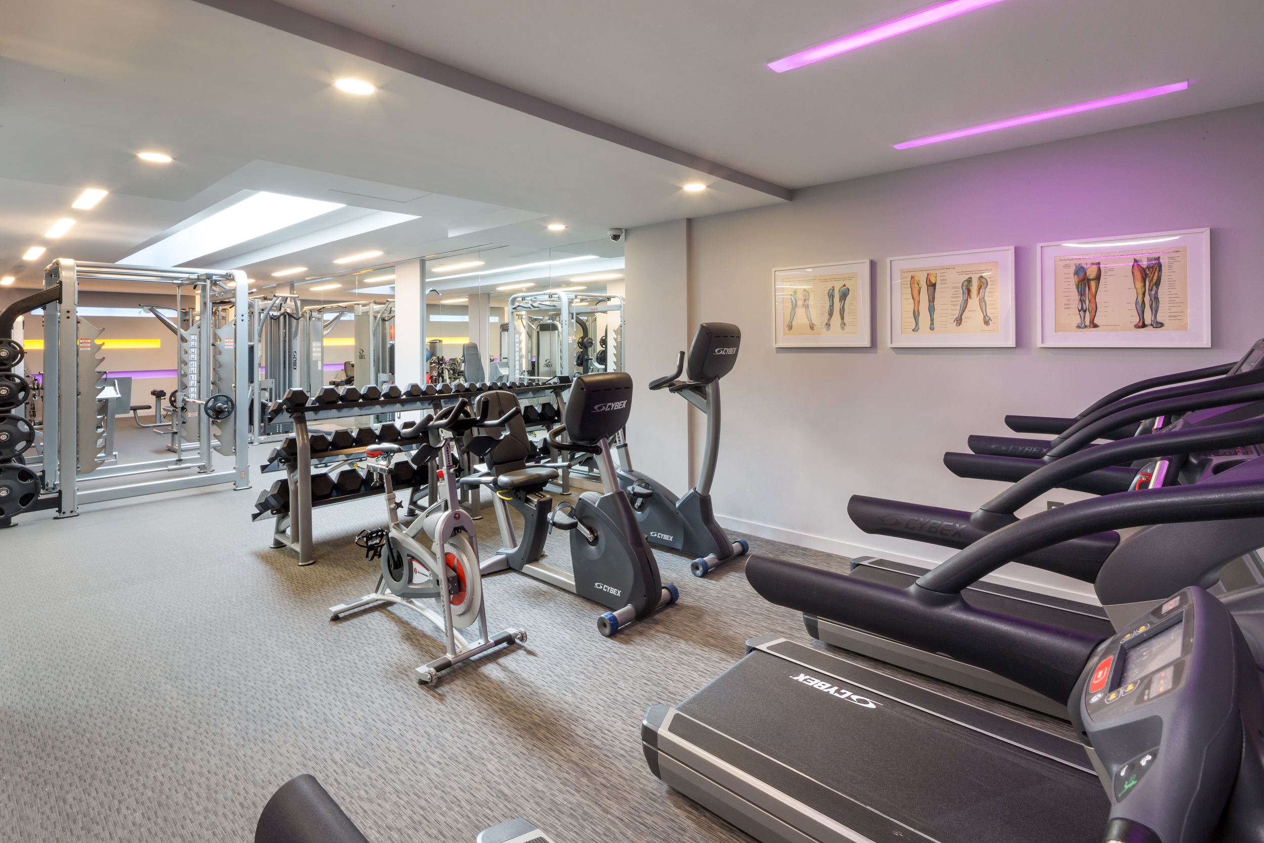 Fitness Begins at Home