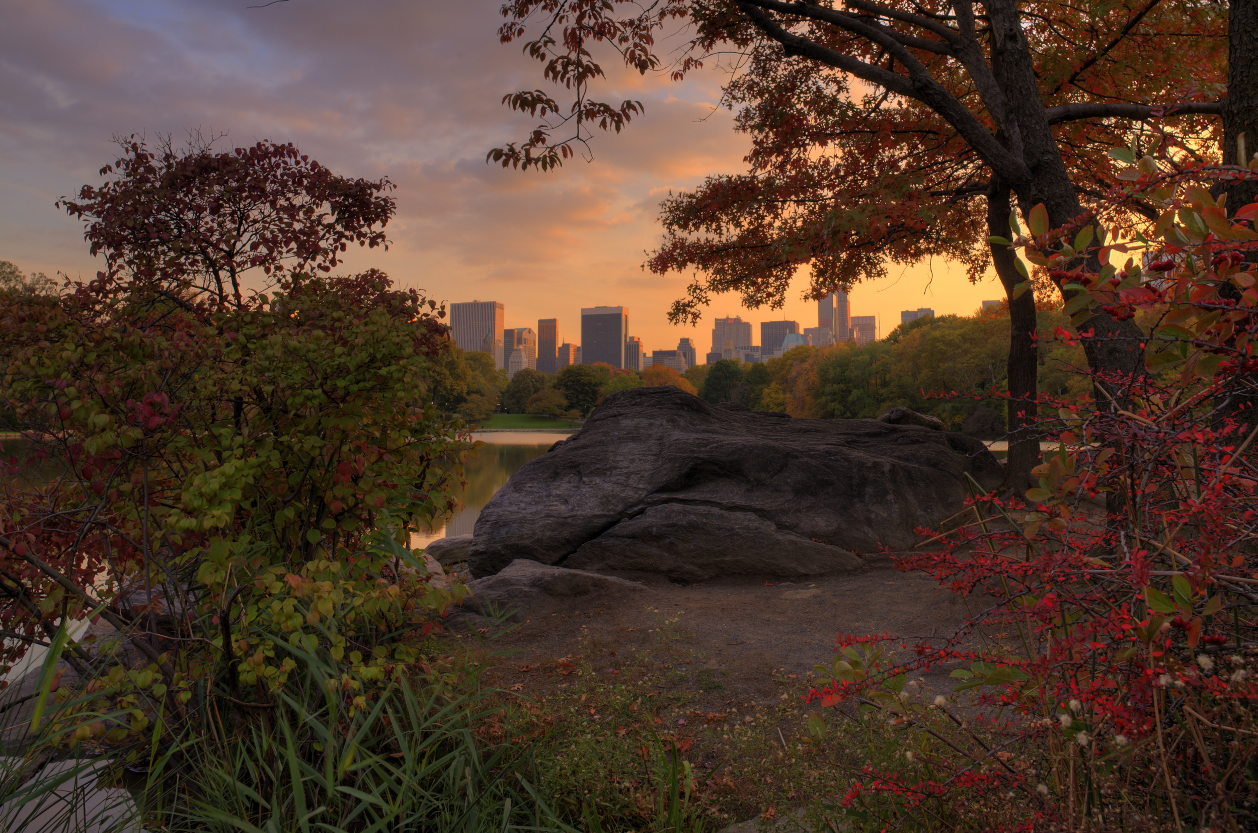 Central Park Sunset