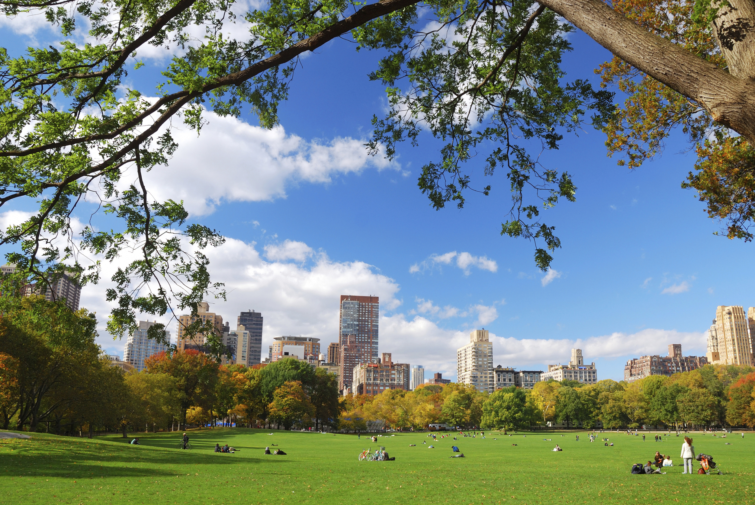 Sheep Meadow