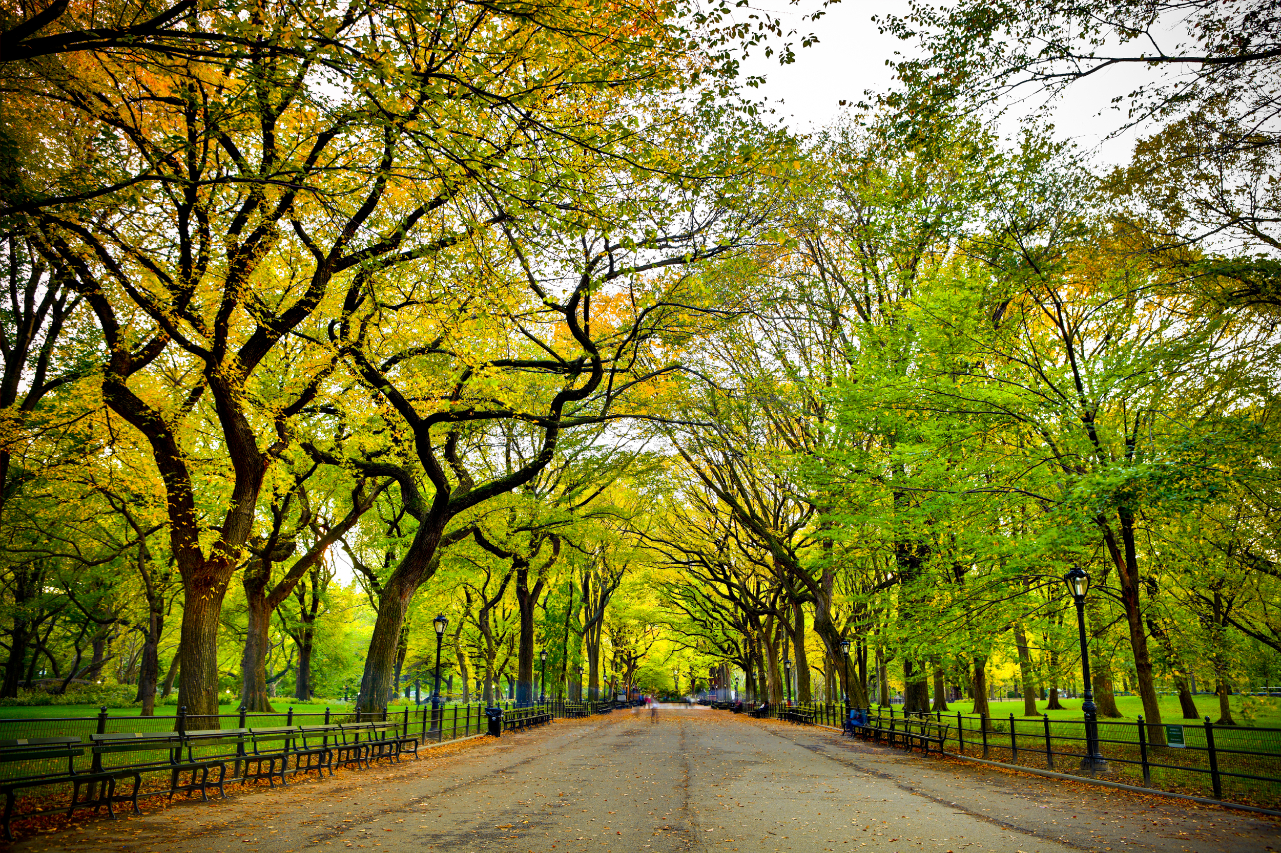 Central Park Mall (Literary Walk)