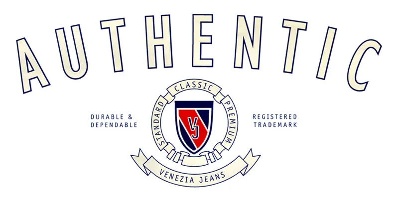 Lane Bryant Denim Merchandise Graphics