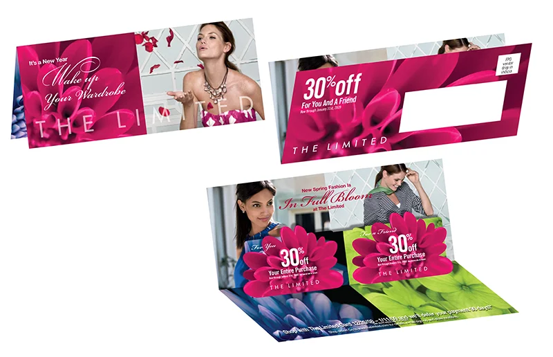 The Limited Spring Pop-Up Mailer Schematic Illustration