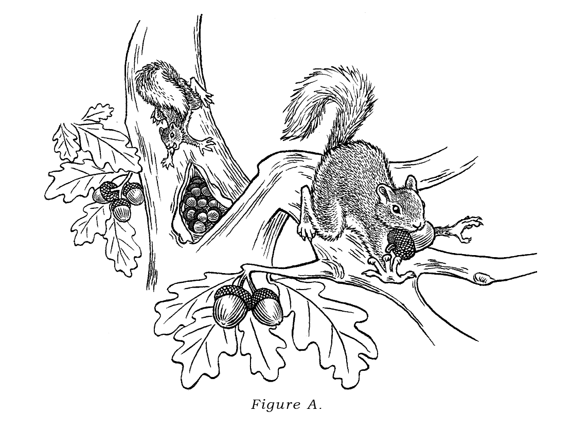 The Skill Of Thinking With Abundance