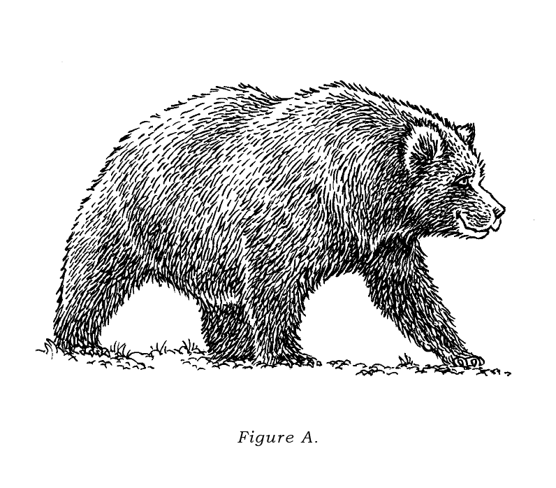 The Skill Of Confidence In The Future Illustration