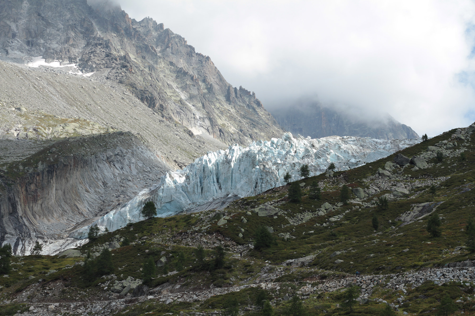 IMG_3824-web.jpg