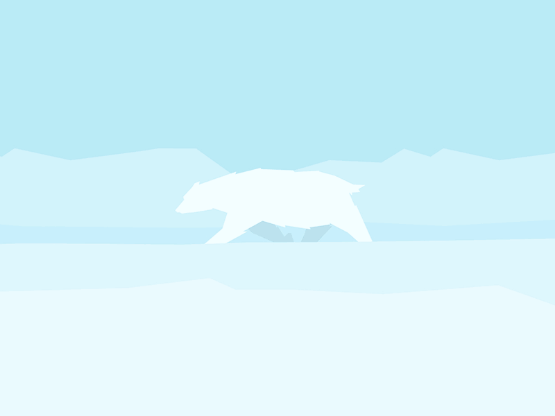 Polar bear walk cycle — White Triangle