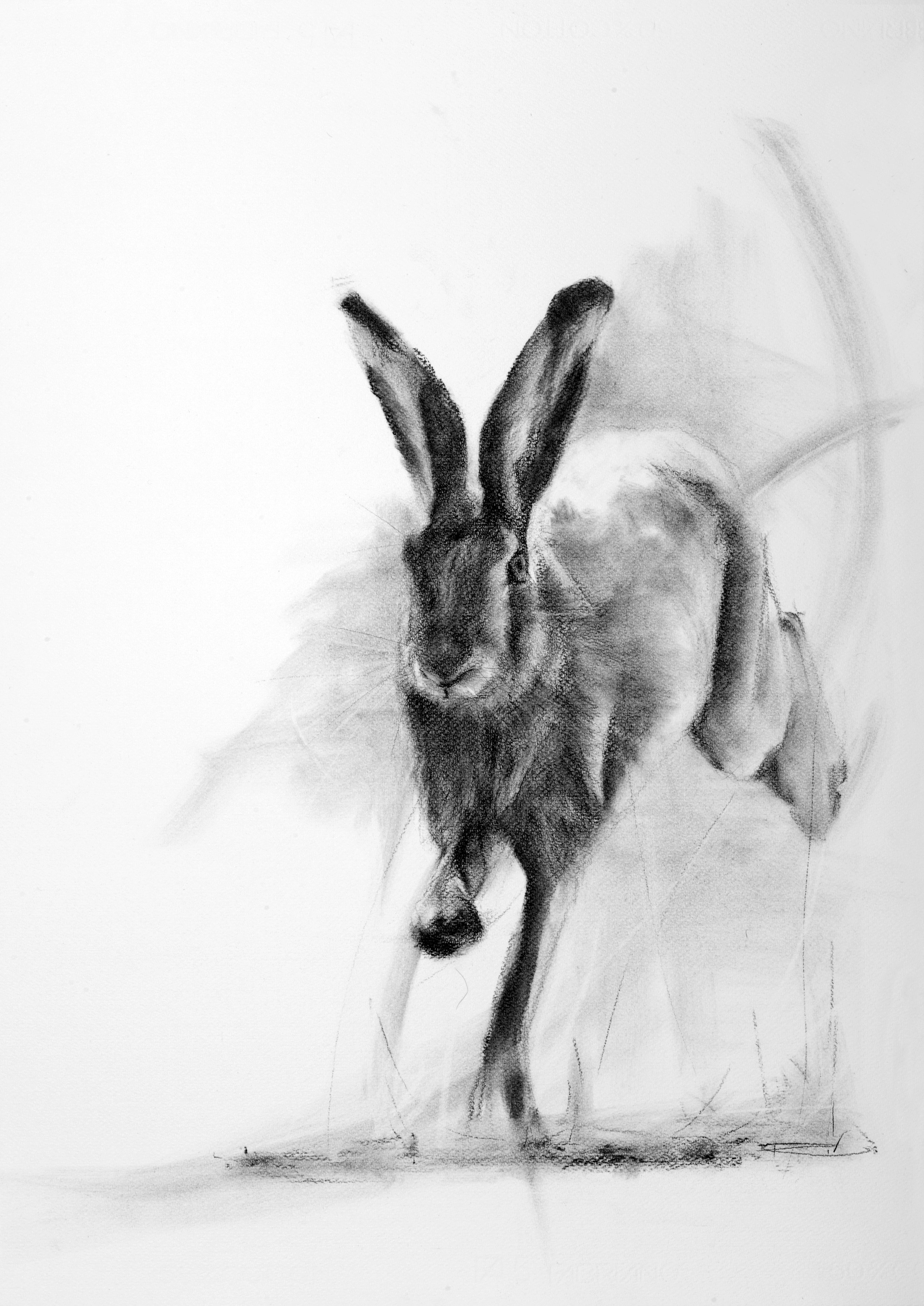 The Racer* SOLD Available as a print