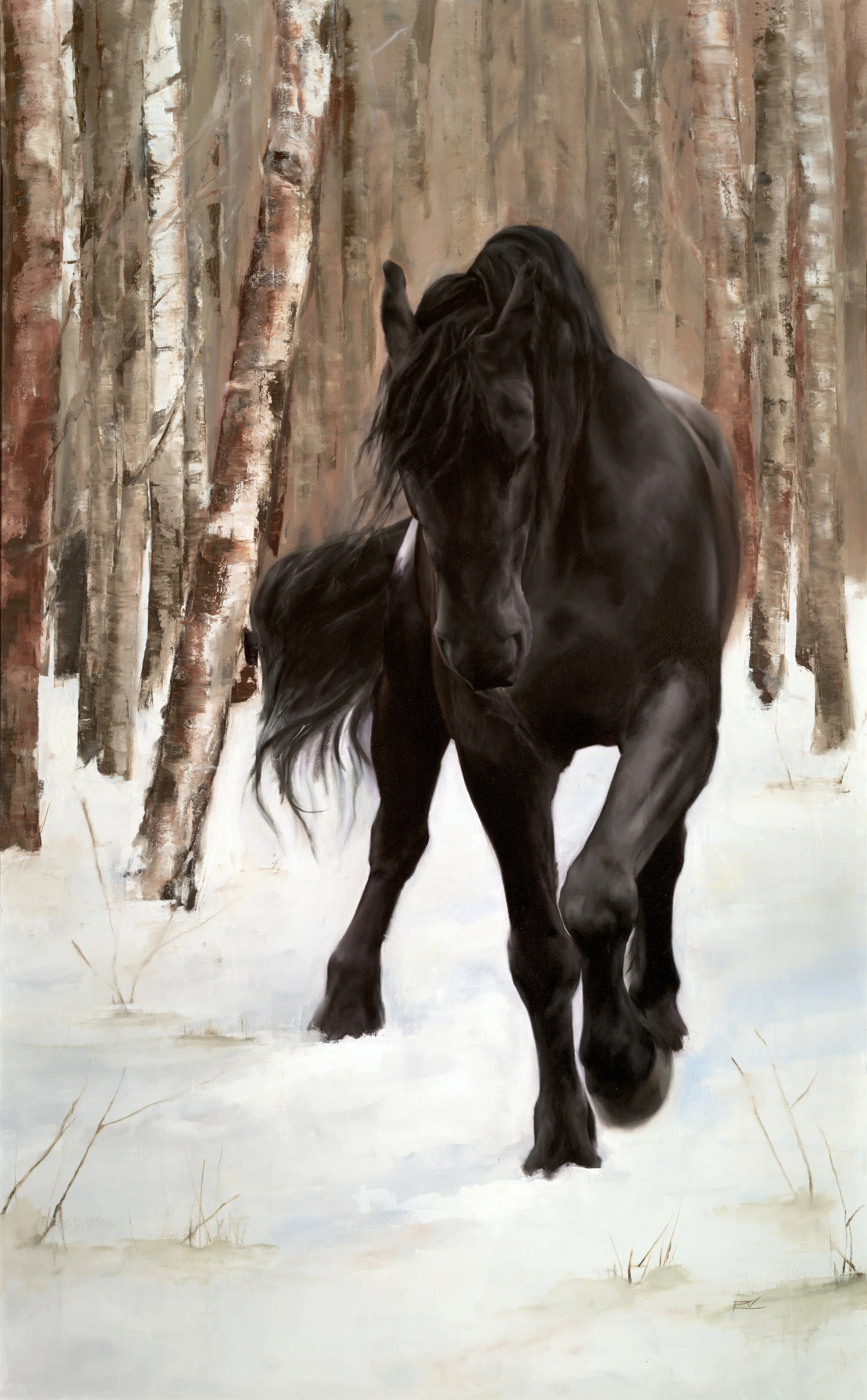 Oil Paintings