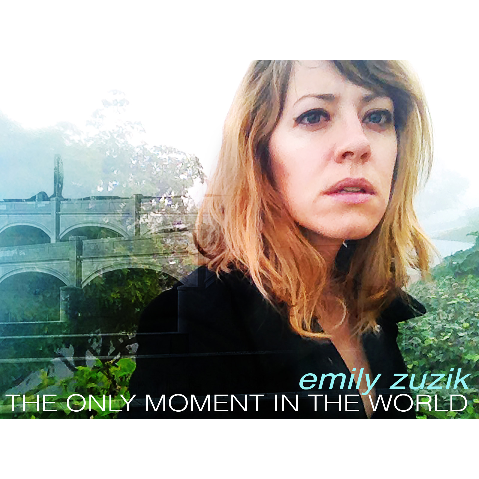 "The Only Moment in the World" was originally created for a photo book "A Picture is Worth..." published by ProSeed Books. The project paired photographers and musicians to create a new song from a photo collection. This song was inspired by Veronique Roblin.