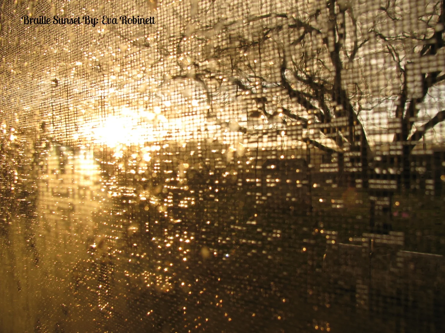 Braille Sunset By: Eva Robinett