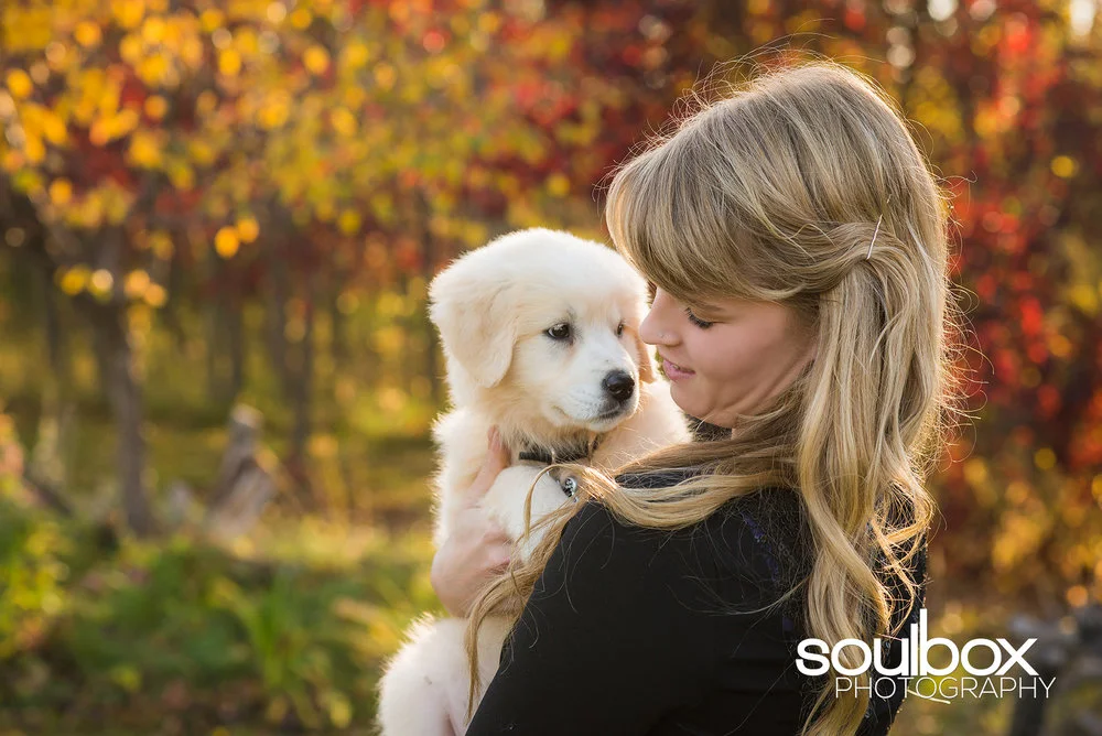 Soulbox Photography Pet Photography