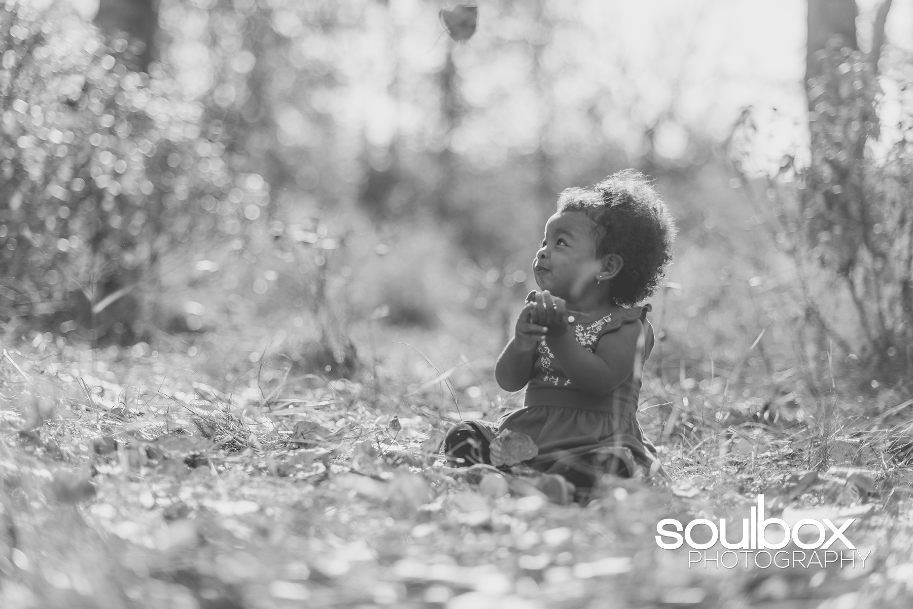 Soulbox Photography Children Photography Red Deer