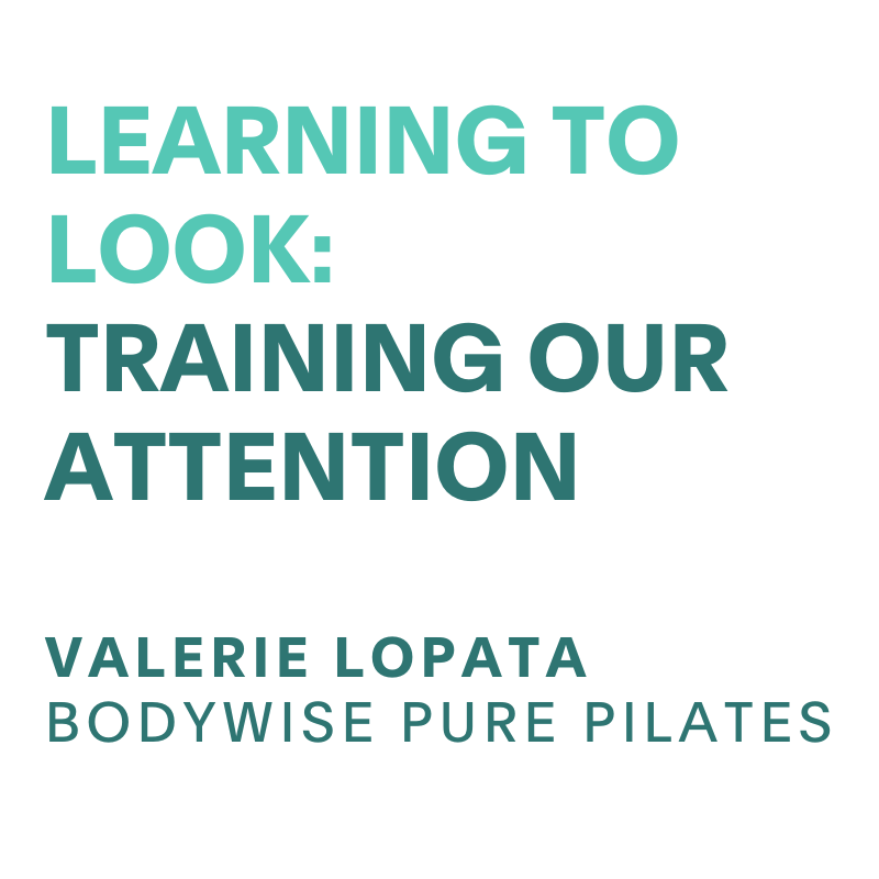 Realignment 2024-5  EAST (2).png