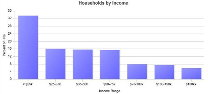 *This graph shows an example of what segmentation of salary levels looks like. It is not derived from the example in the article.