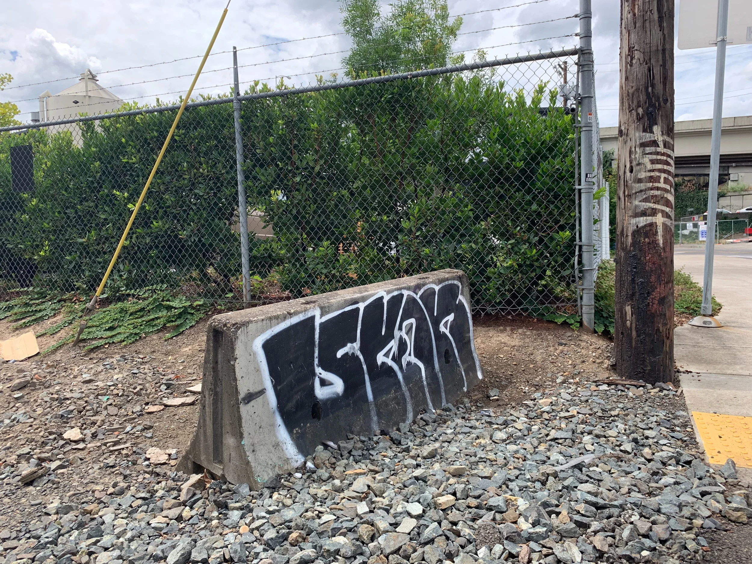 IMG_3029.jpeg