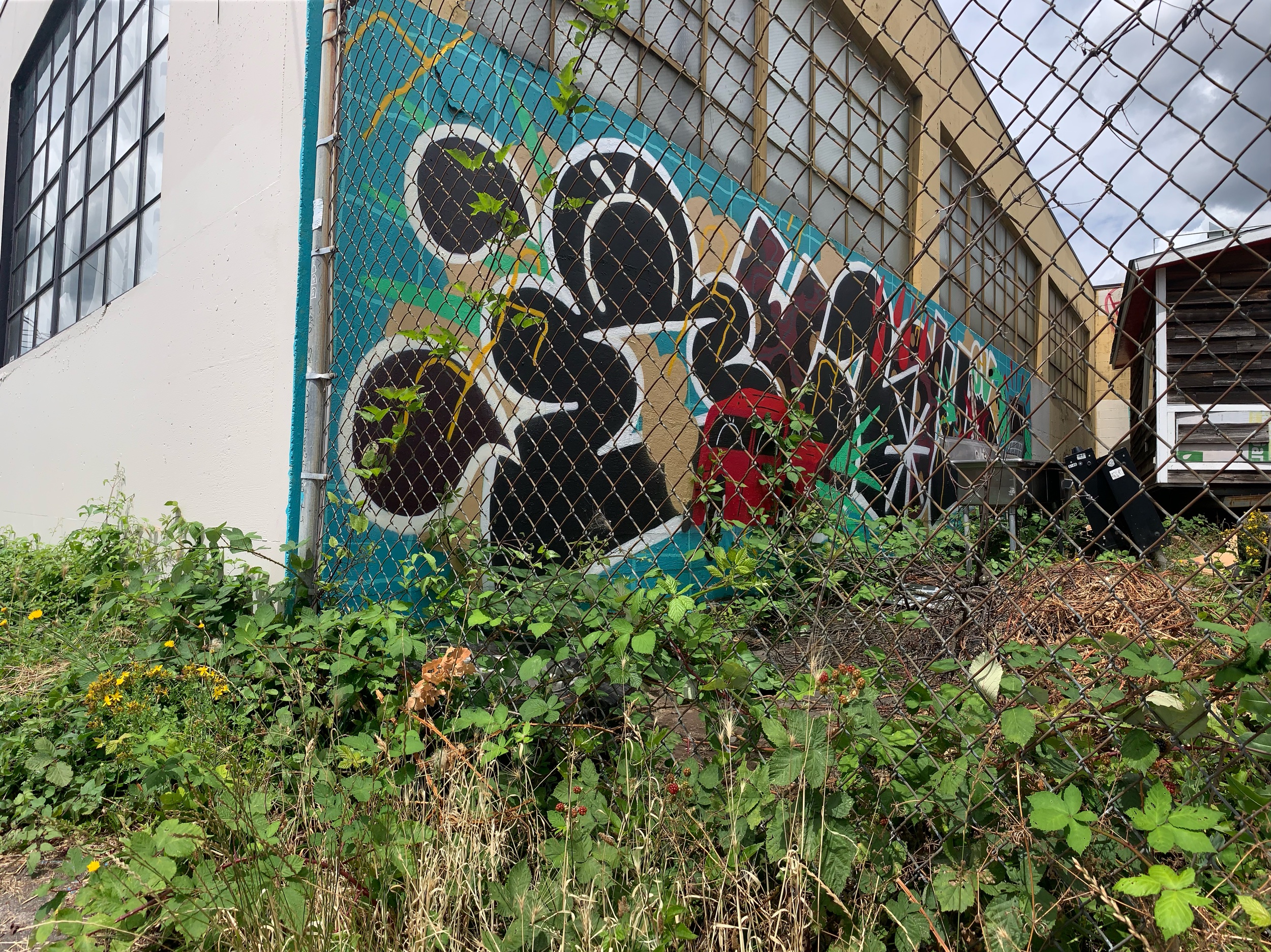 IMG_3009.jpeg