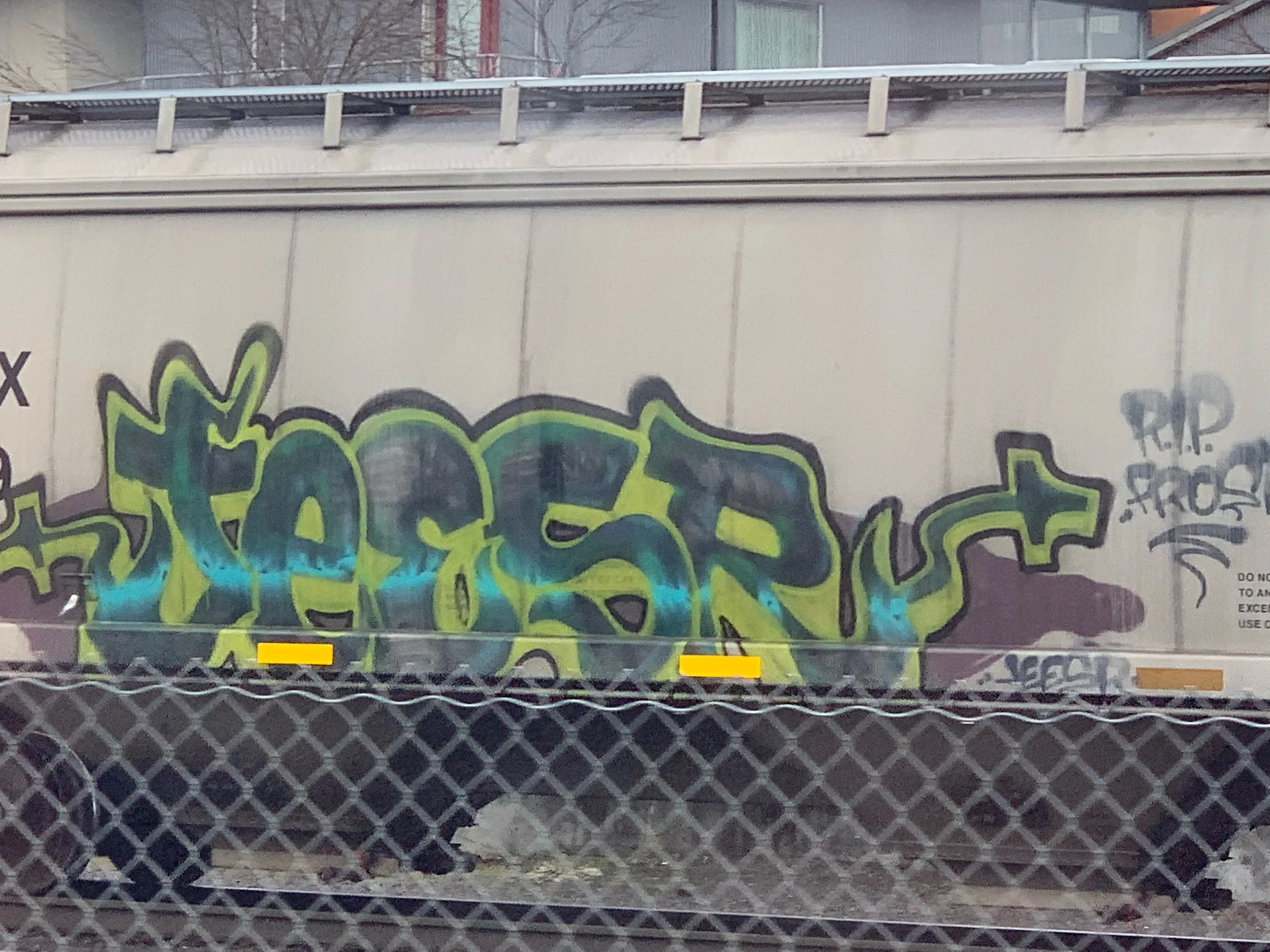 IMG_1488.jpeg