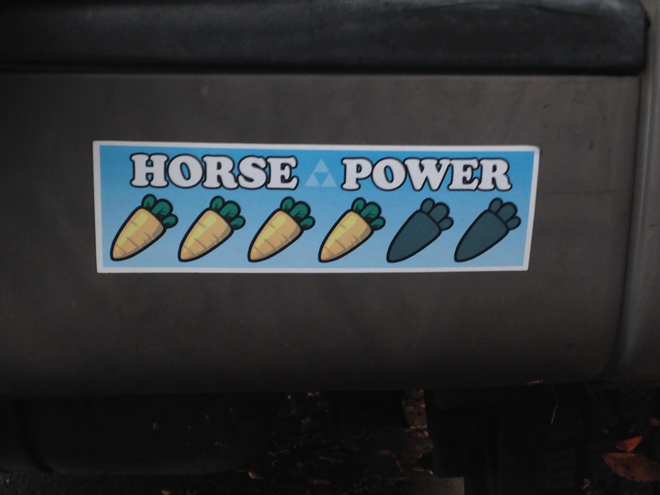 IMG_1454.jpeg