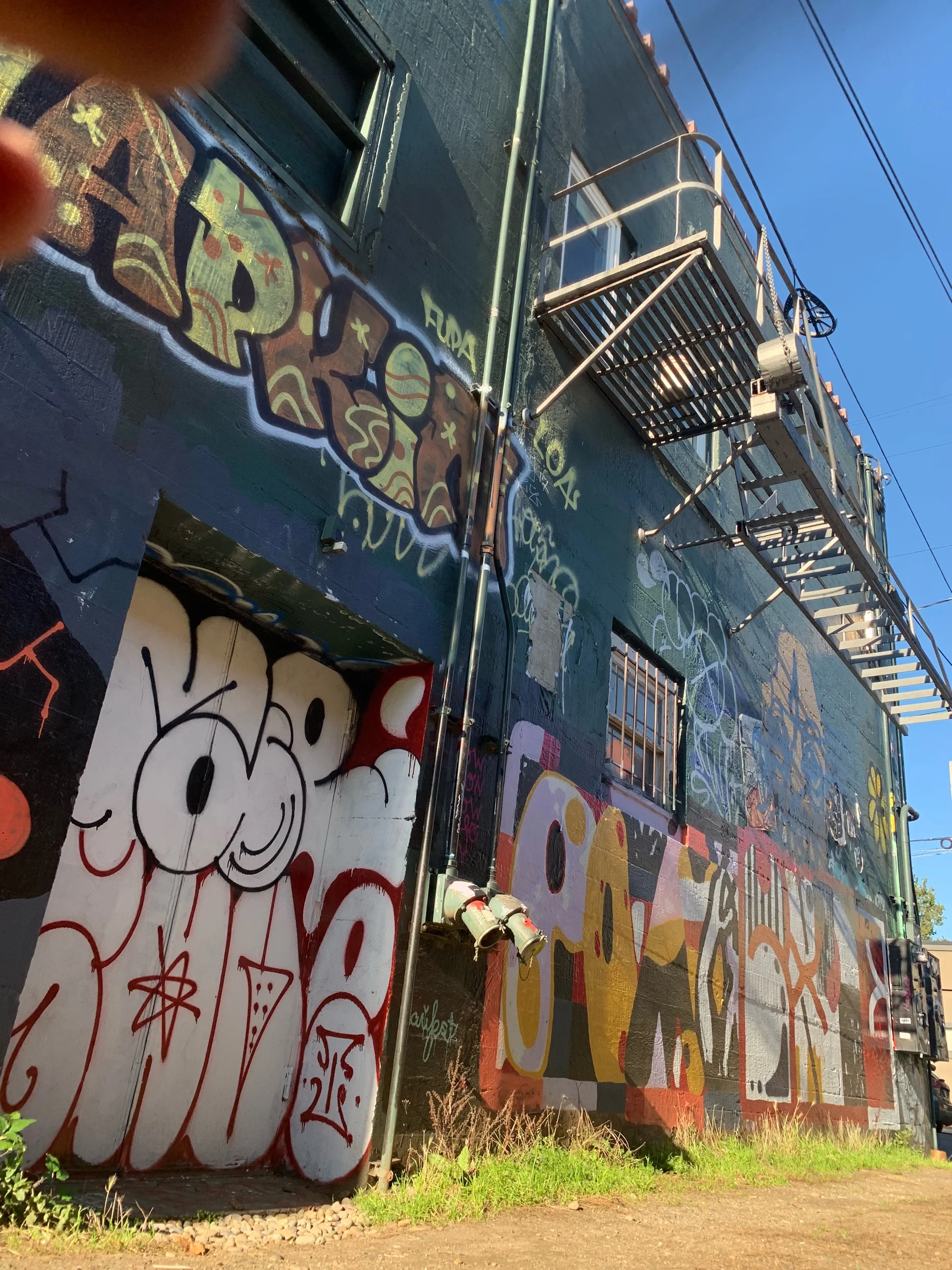 IMG_0412.jpeg