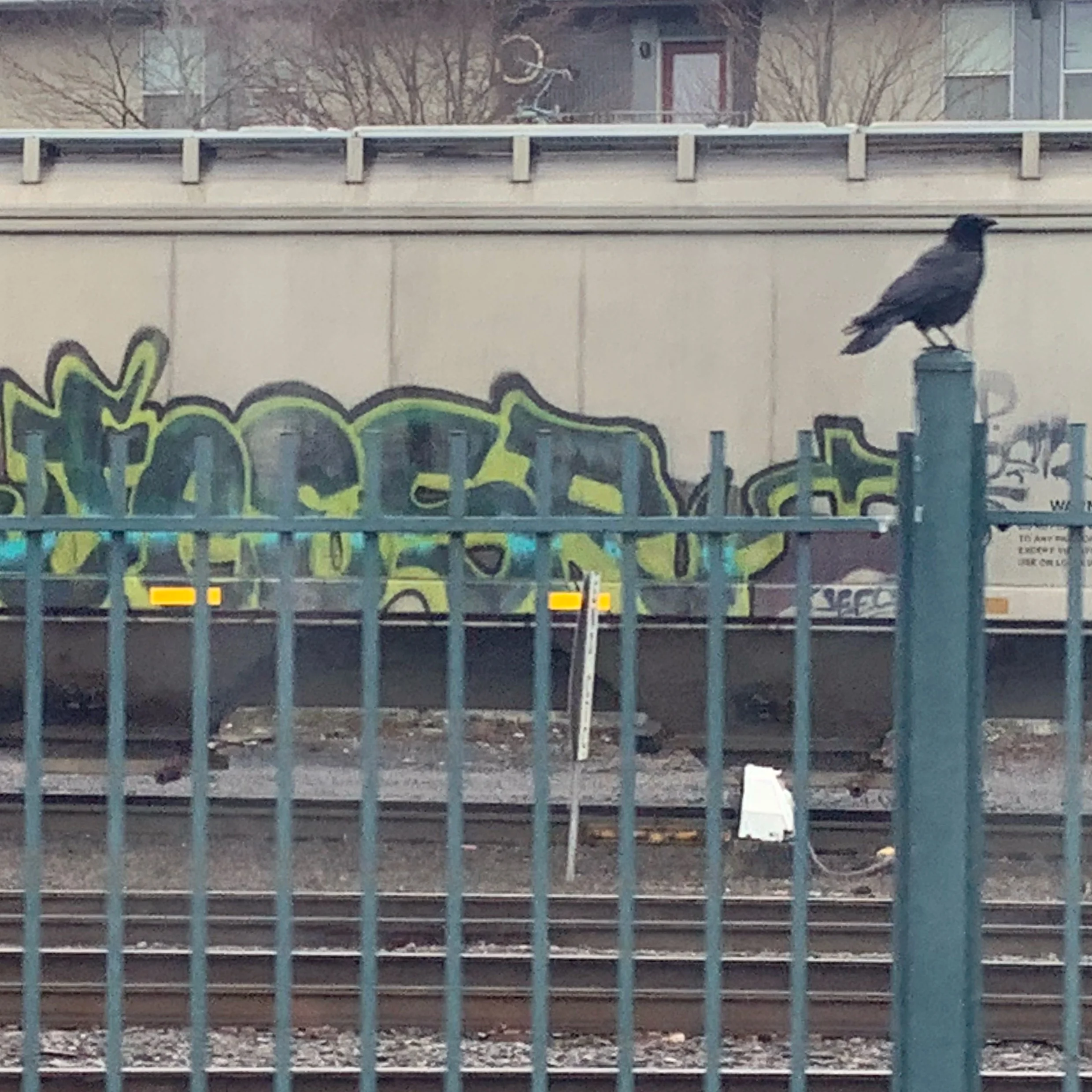 IMG_1555.jpeg