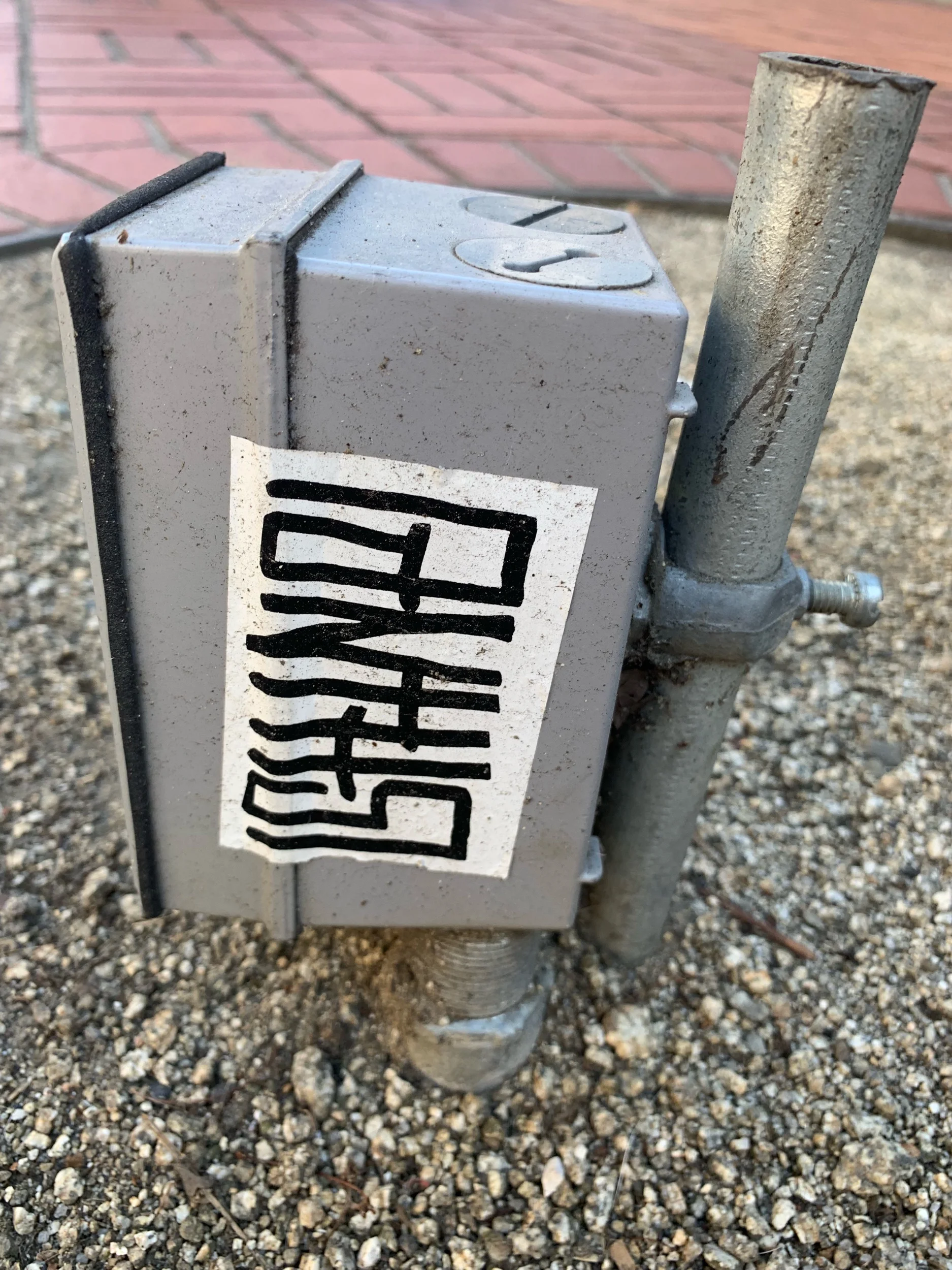 IMG_3205.jpeg
