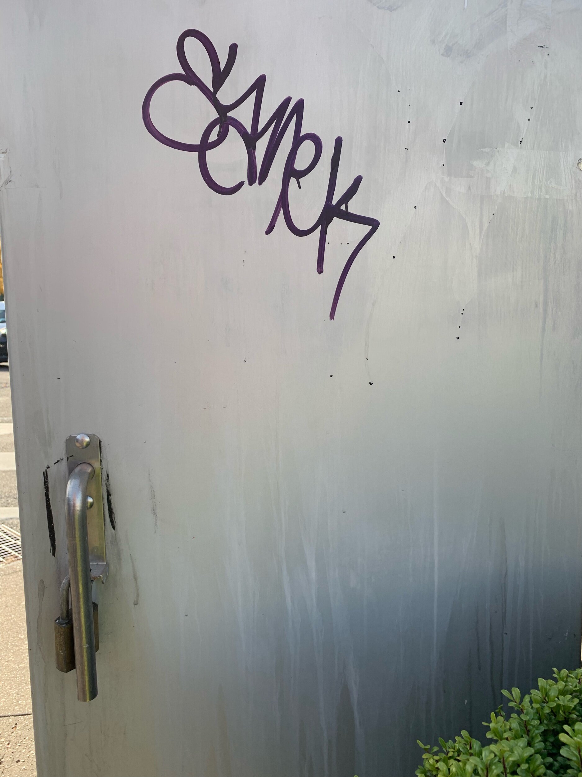 IMG_3547.jpeg
