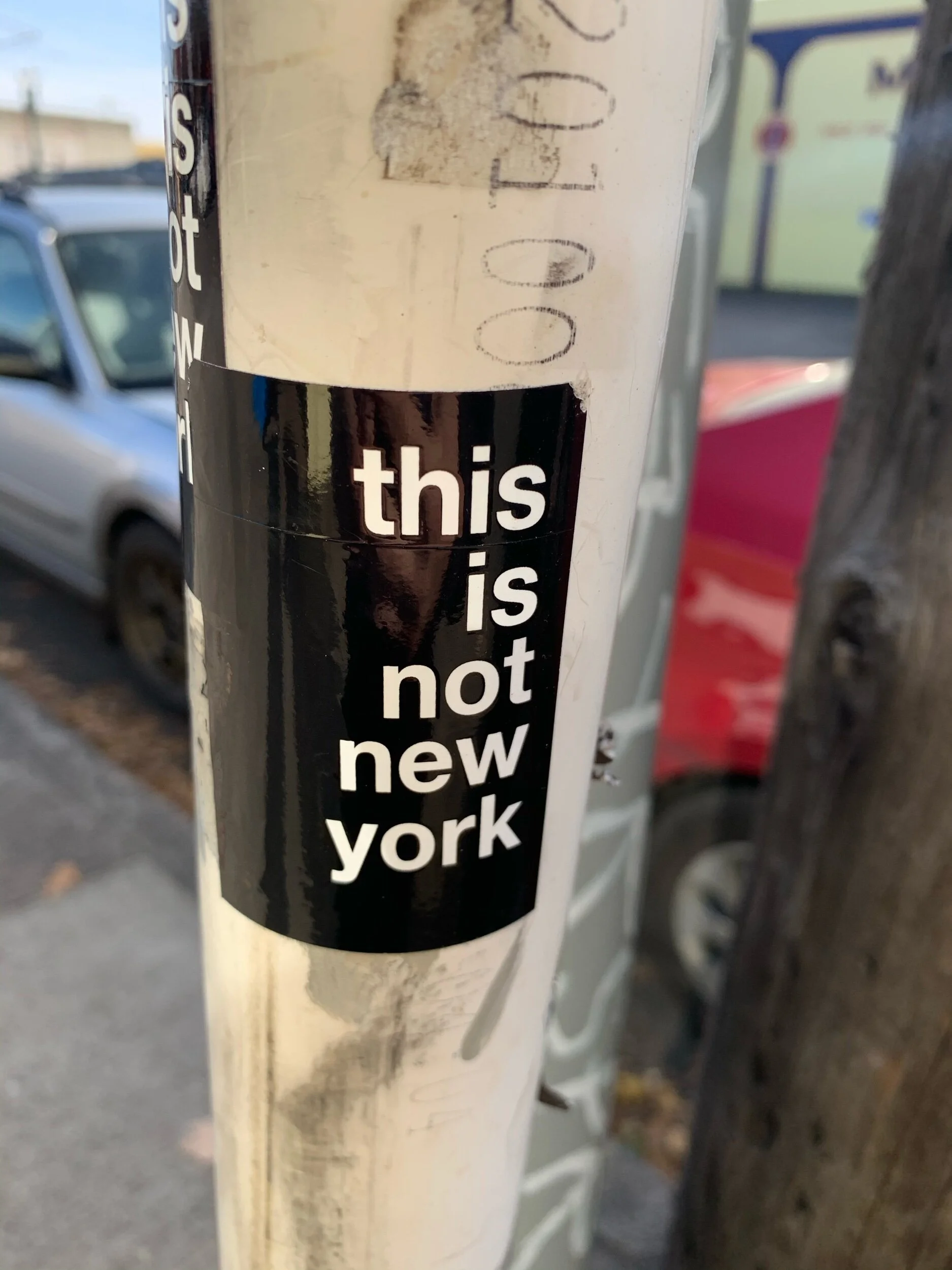 IMG_3744.jpeg