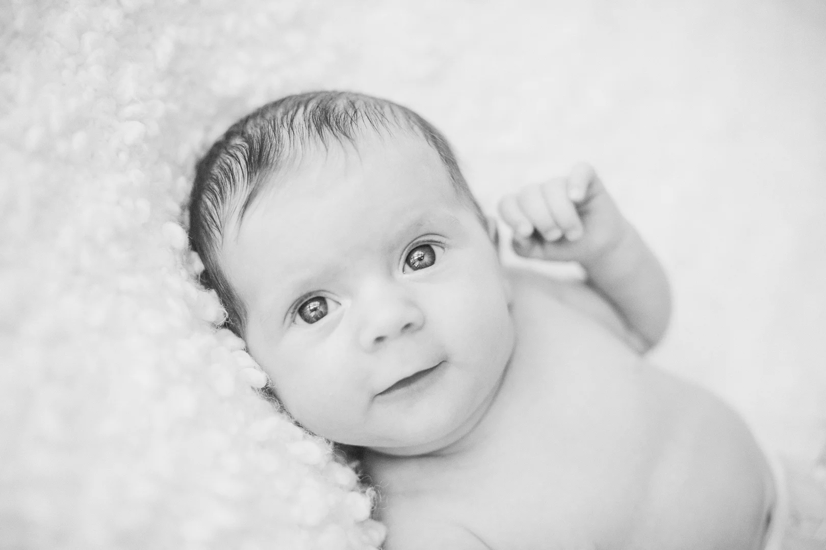 Newborn-029.jpg