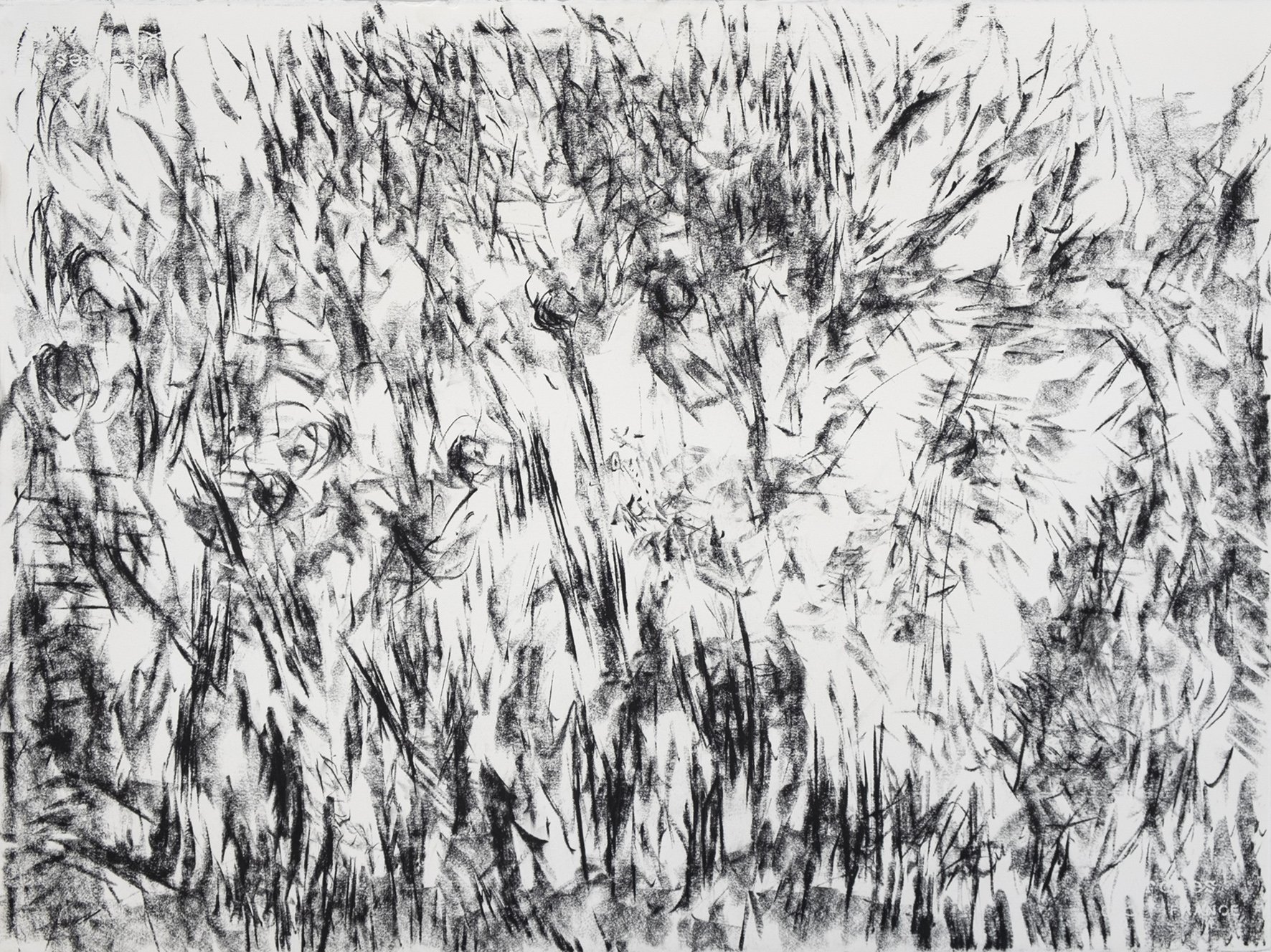  Ensemble d’arbres, Annecy 2021, fusain sur papier arche, H61 x L76 cm  