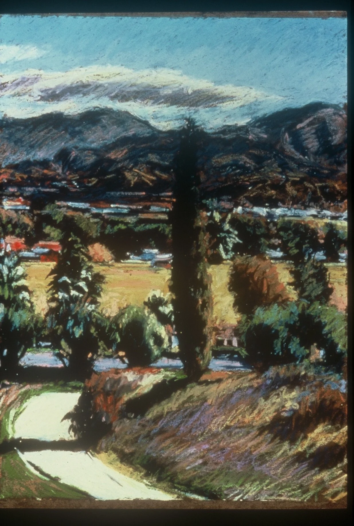 Hemet Front Yard, 1990