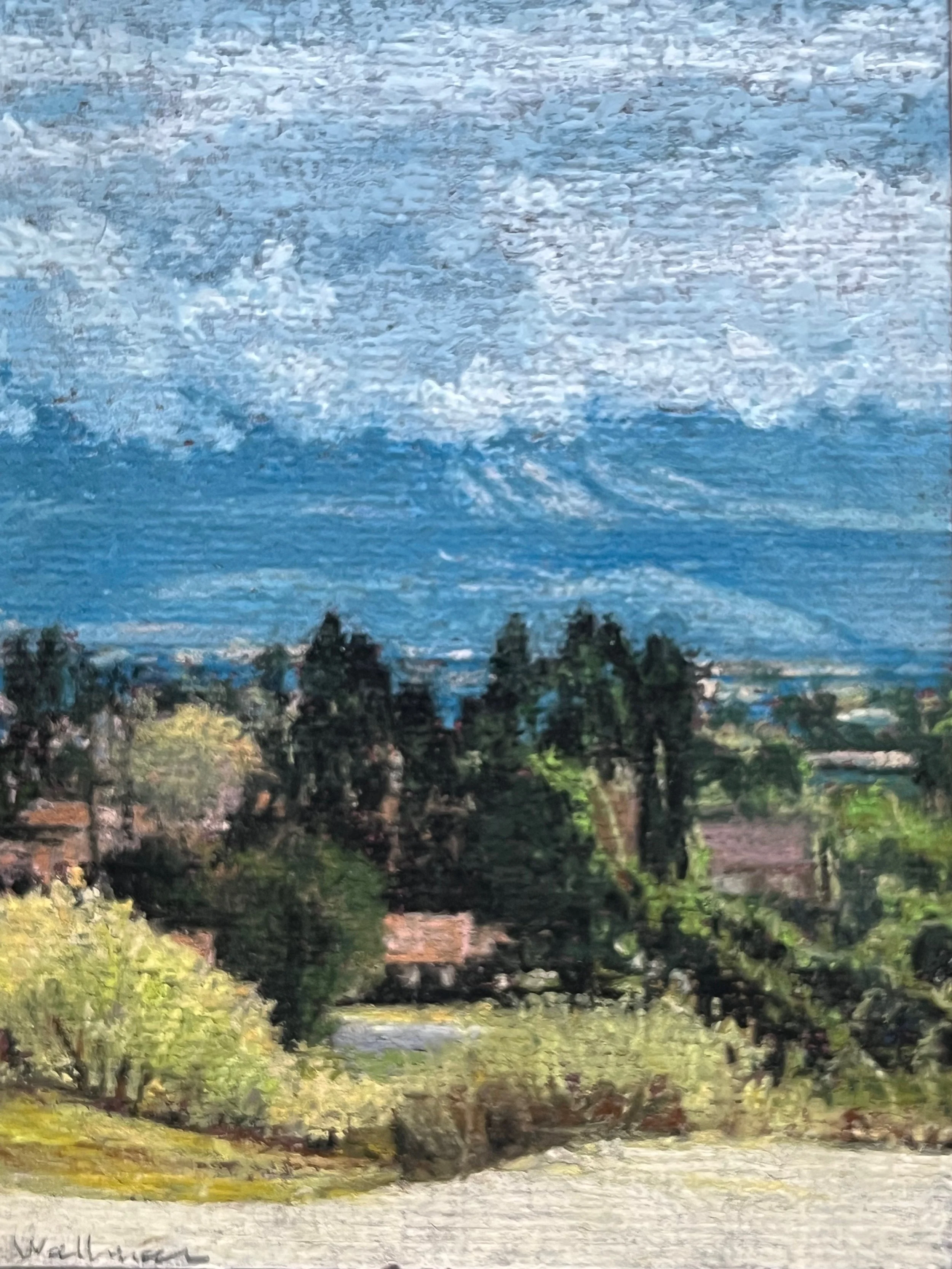 Front Yard in Hemet, 2024