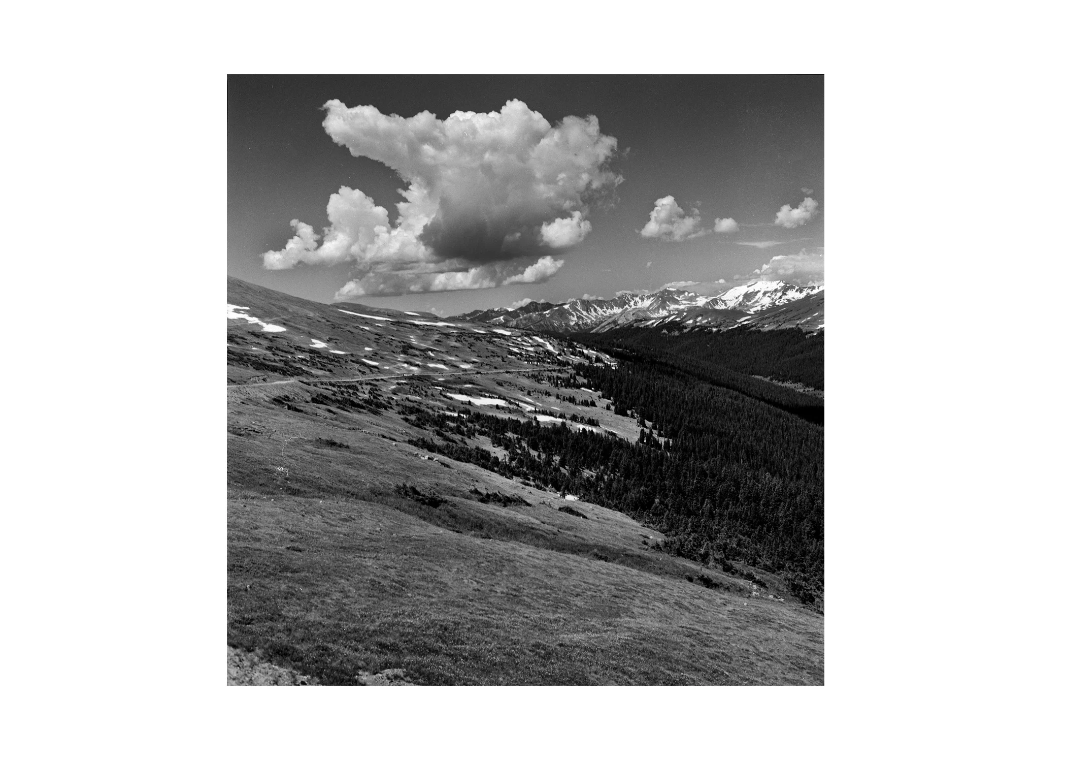 Untitled-1.jpg